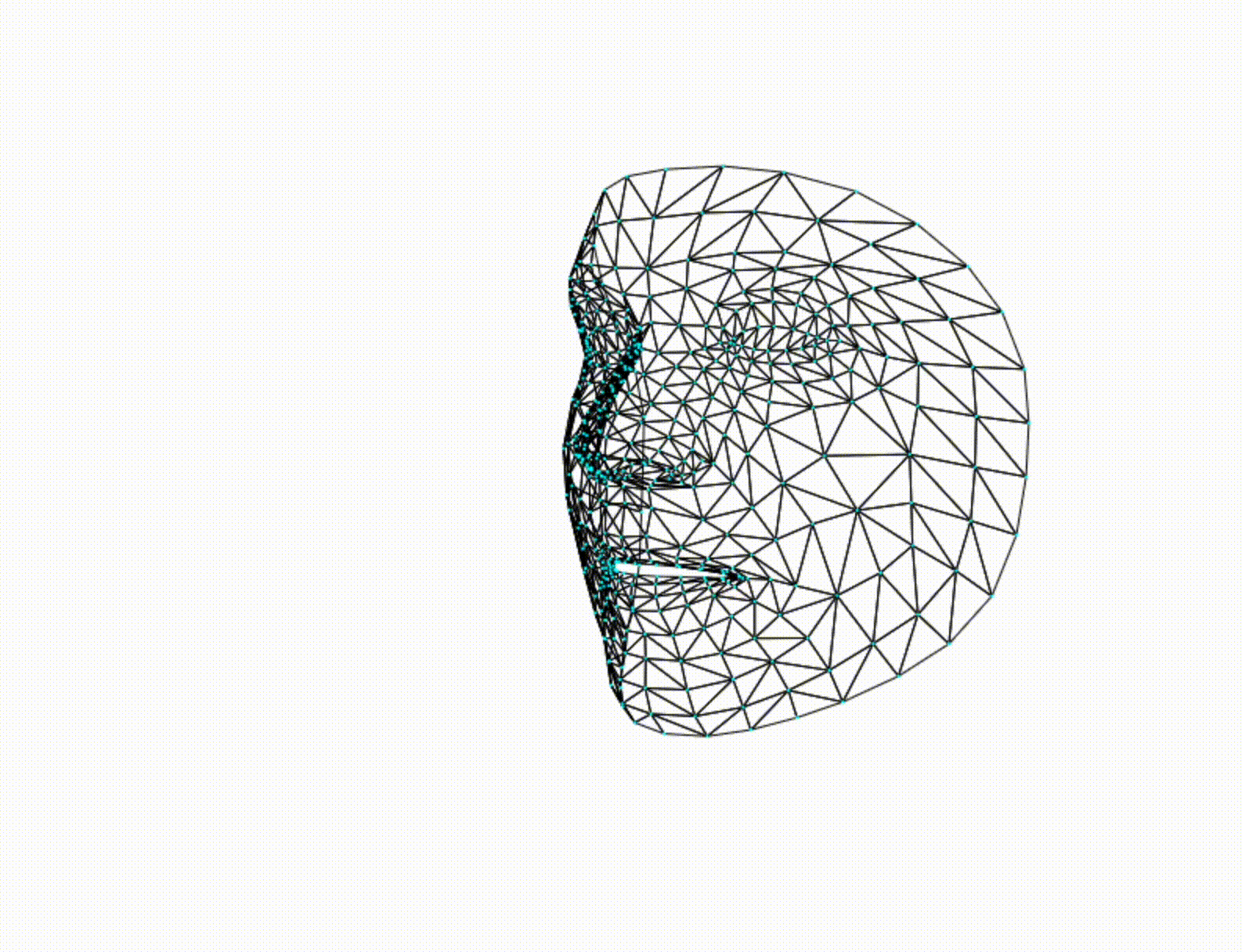 Omnisiriuss biometric face mesh